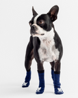 Compression Dog Socks - Blue