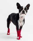 Compression Dog Socks - Red