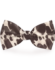 Cow Print Dog Bow Tie