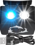 DeepSee Viewer LED Spotlight