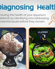 DeepSee Viewer Black Max 5"