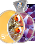 DeepSee Viewer Clear Max 5" - Orange Filter
