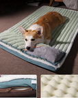 Dog Bed Padded Cushion-Large