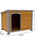 Dog House Outdoor & Indoor Wooden