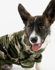 Dog Pajama - Camo