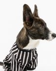 Dog Pajama - Stripe