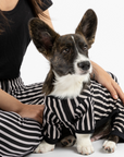 Dog Pajama - Stripe