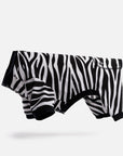 Dog Pajama - Zebra