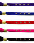 Dog, Puppy & Pet Leash, "Velvet 3/8" Inch Wide"