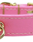 Dog, Puppy and Pet Collar, "