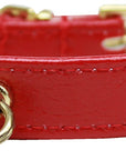 Dog, Puppy and Pet Collar, "