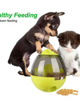 Dogs and Cats Food Dispenser Tumbler