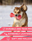 Dumbbell Dog Fetch Toy   Outdoor Barbell Dog Toy for Small Medium and