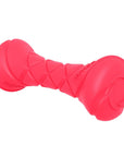 Dumbbell Dog Fetch Toy   Outdoor Barbell Dog Toy for Small Medium and