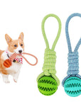 Durable Rubber Ball Chew Toy with Cotton Rope