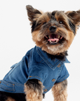 Dusten Denim Dog Jacket