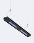 Meridian Hanging Wires