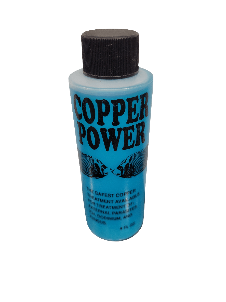 A blue bottle of Endich - Copper Power with a black cap. The label features two fish illustrations and text promoting it as the safest copper treatment available, suitable for parasite treatment. Capacity indicated as 16 fl. oz.