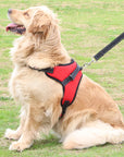 Fast Shipping Adjustable Dog Pet Harness