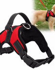 Fast Shipping Adjustable Dog Pet Harness