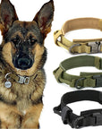 Fast Shipping Durable Military Tactical Dog Collar