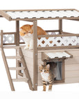 Feral Cat House Outdoor Indoor Kitty Houses