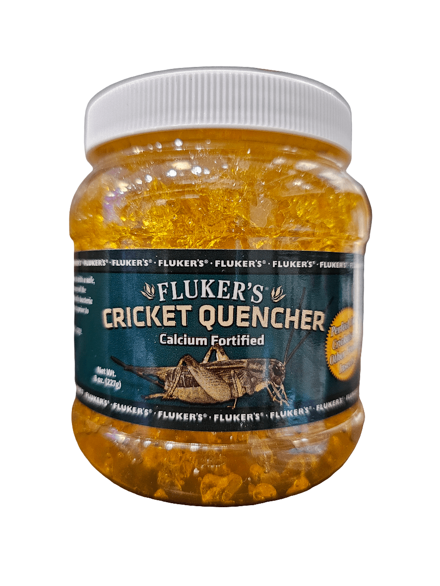 A jar of Fluker's Cricket Quencher - Calcium Fortified 8 Oz features an illustration of feeder insects on the label and contains orange-colored hydrating gel ideal for nourishing crickets and reptiles.