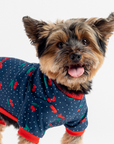 Fruit Dog Pajama - Cherry