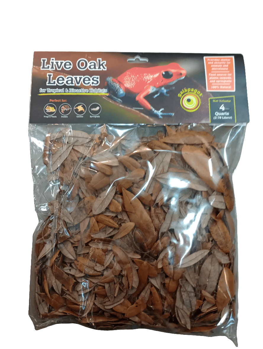 The Galapagos Oak Leaves 4qt, packaged in a clear plastic bag, contains dried brown leaves and features a red frog image. This product is ideal for themed terrariums.