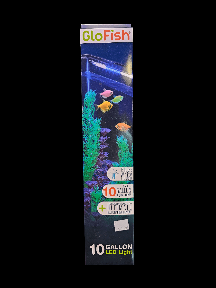 Box for the GloFish - 10 Gallon LED Light. The front displays vibrant fish swimming among plants, emphasizing the lively underwater atmosphere. Branding and features, such as blue and white LED lighting and convenient routing clips for tidy organization, are prominently featured on the packaging.