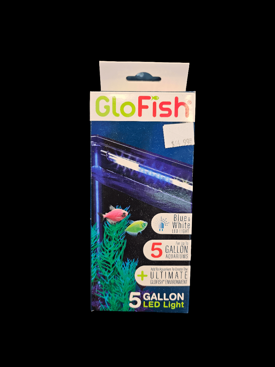 Image of a GloFish - 5 Gallon LED Light aquarium kit box highlighting its sleek frame. The packaging displays a blue and white 5-gallon tank illuminated by vivid LED lighting, with colorful fish and vibrant blue aquatic plants, perfectly capturing the essence of the Ultimate GloFish Environment. Price tag visible.