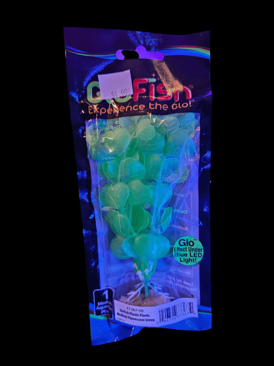 The GloFish - Green Plant MED comes in packaging that showcases a striking neon green plant with round leaves, specifically labeled for aquarium use and designed to glow under blue LED light. Ideal for accompanying fluorescent fish to create a vibrant display, the packaging also features the price tag prominently at the top.