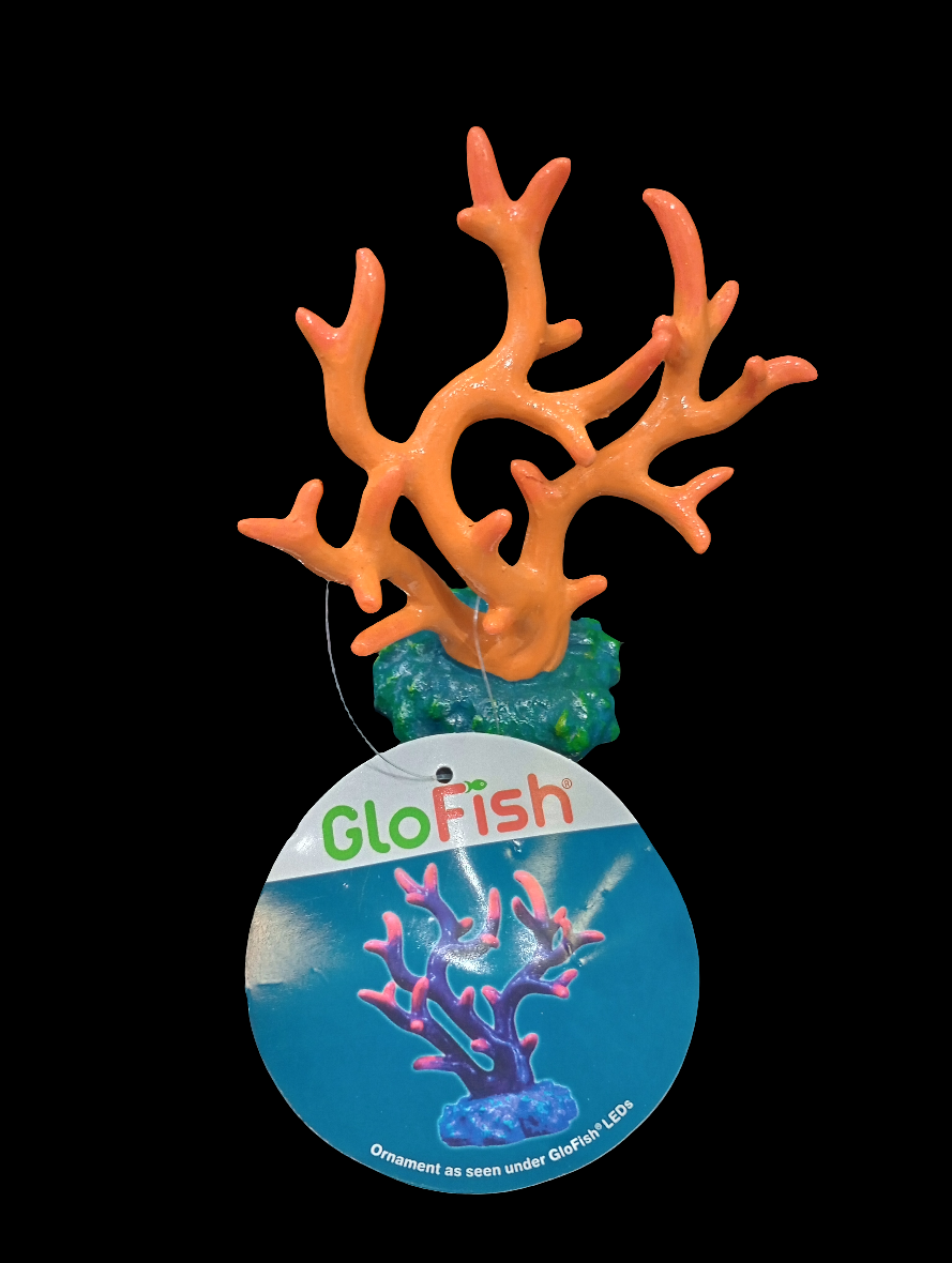 The GloFish Ornament, a vibrant orange coral shape with a green base, is enhanced by glowfish lights. A circular GloFish tag accompanies it, creating a colorful and illuminated underwater display.