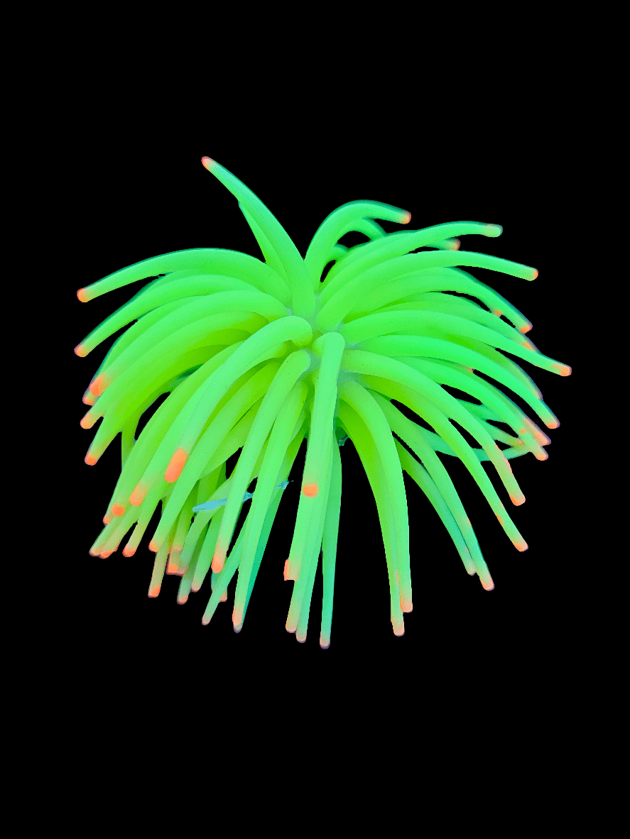 A vibrant yellow, sea anemone-inspired ornament with tentacle-like extensions tipped in orange against a black background, the GloFish Ornament Yellow Anemone fluoresces brilliantly to enchant any underwater world.