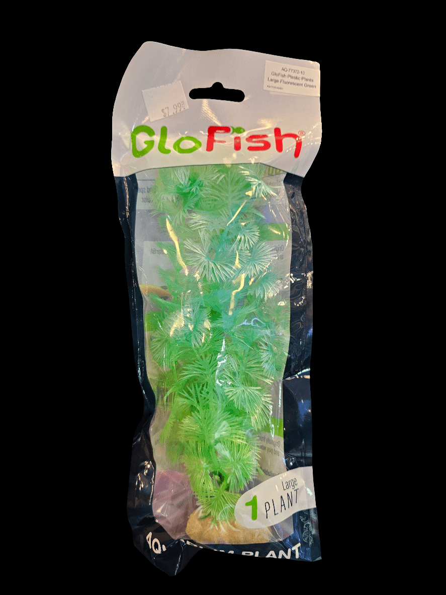 The GloFish Plastic Plant in Florescent Green, size Large, is designed for your aquarium and comes with bright green spiky foliage. It is packaged in a clear bag against a blue background and includes a price sticker at the top.