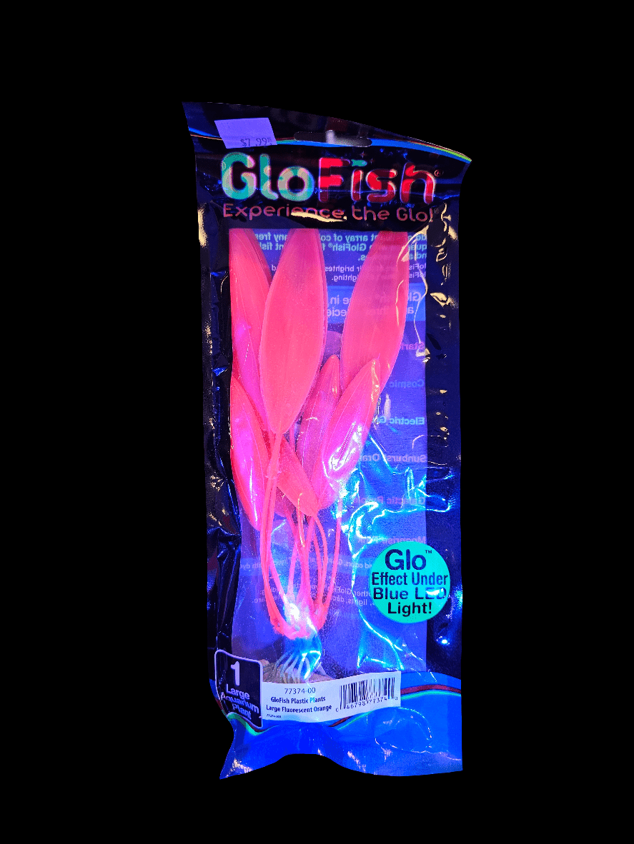 A package labeled GloFish reveals a fluorescent splendor with large florescent orange artificial plants designed for aquariums, emphasizing their glowing effect under blue light.