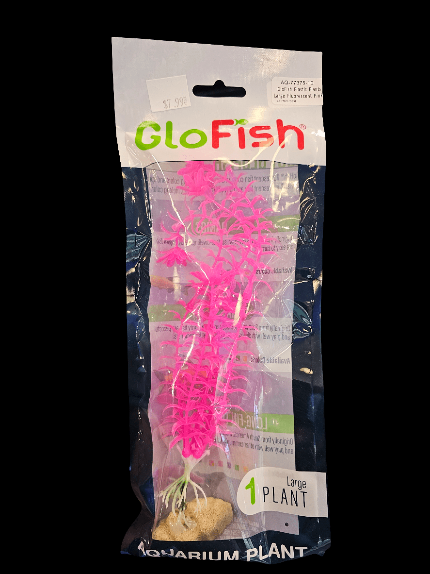 The GloFish Plastic Plant in fluorescent pink adds radiant beauty to any glowfish tank. Priced at $7.99, this large plant is secured with a small rock at the base.