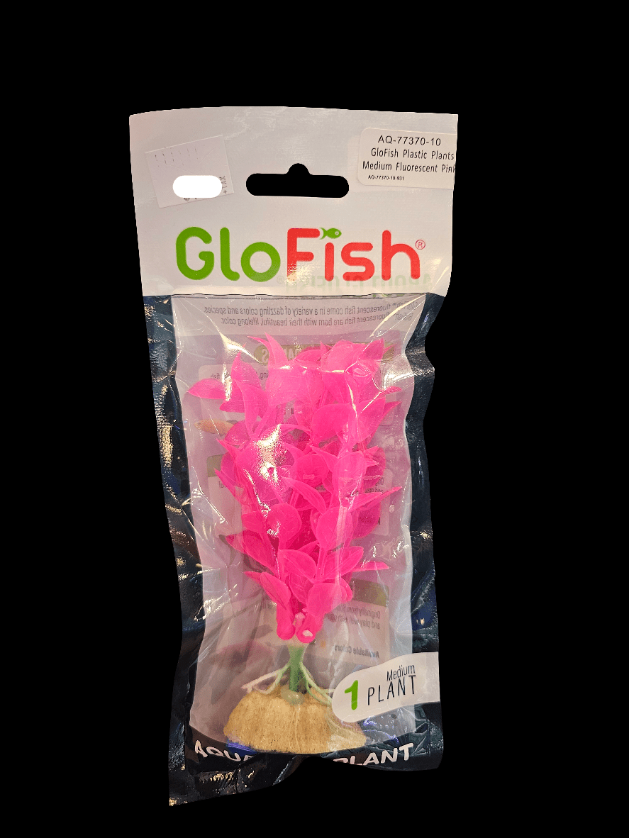 The GloFish - Plastic Plant - Fluorescent Pink Med decoration includes a medium-sized fluorescent pink plastic plant encased in clear packaging, complete with a sandy-colored base visible underneath, making it perfect for enhancing your aquarium's vibrant aesthetics.