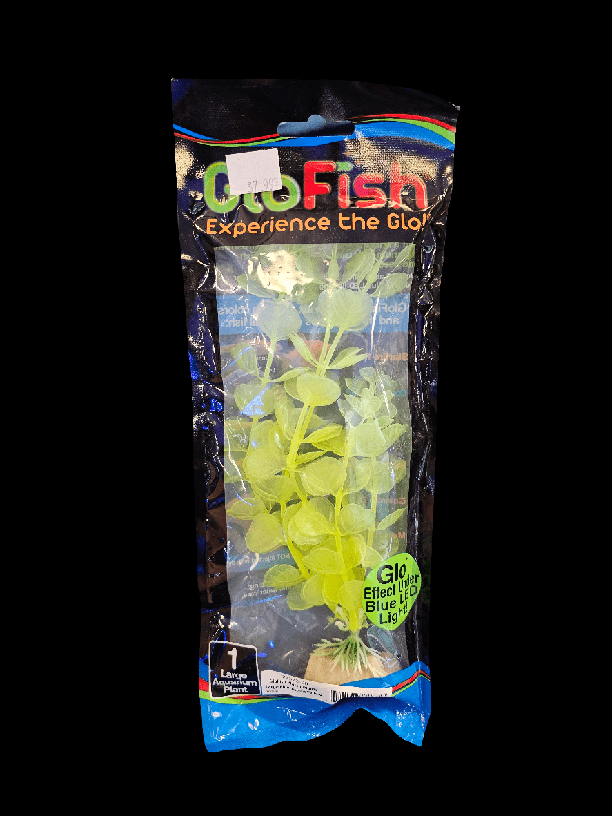 A packaged GloFish Plastic Plant, vibrant in fluorescent yellow, radiates a brilliant glow under black light. The packaging features a rainbow stripe with the phrase "Experience the Glo" and is topped with a price sticker, making it ideal for enhancing any glowfish tank.