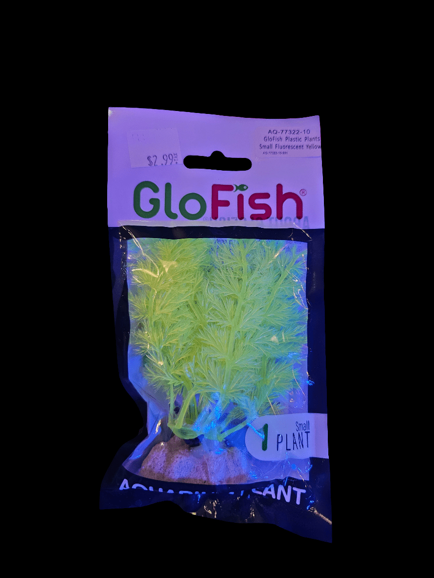 A package featuring the GloFish - Yellow Plant Sml, showcasing fluorescent yellow-green foliage, captivates with its dazzling colors. The transparent packaging unveils the vibrant decoration inside, available for $2.99.