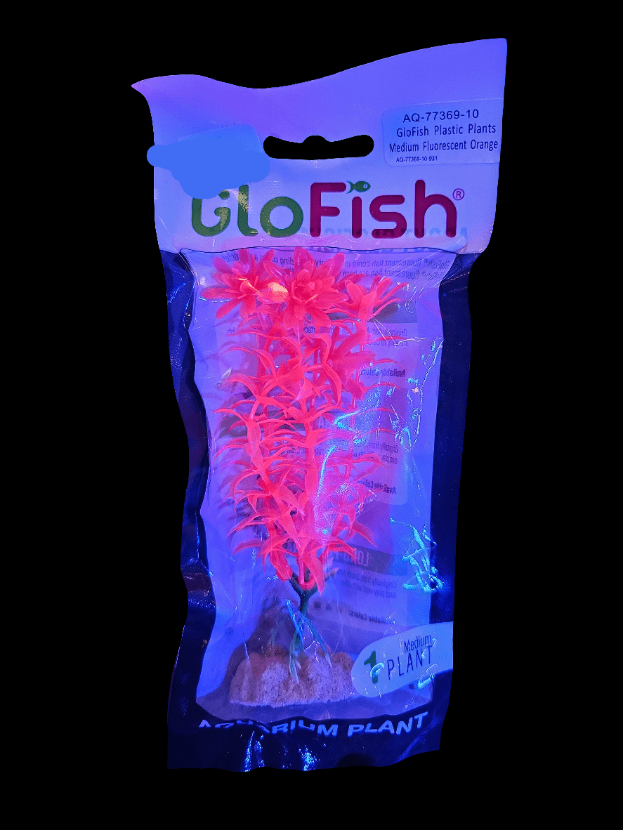 The Glofish - Orange Plant Med adds brilliant fluorescent orange hues to your aquarium, encased in clear plastic to enhance the beauty of fish tank settings. It's ideal for crafting vibrant underwater landscapes that perfectly complement your fluorescent fish.