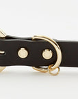 Golden Spike Black Collar