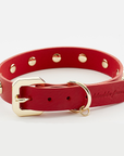 Golden Spike Red Collar