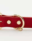 Golden Spike Red Collar