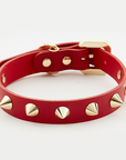 Golden Spike Red Collar