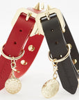 Golden Spike Red Collar