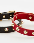 Golden Spike Red Collar