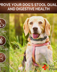 Great Poop Probiotics for Dogs   Dog Stool Softener   Fiber for Dogs