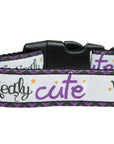 Halloween Pet Dog & Cat Nylon Collar or Leash, "Wickedly Cute"