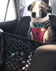 High Quality Premium Pet Car Net Petition